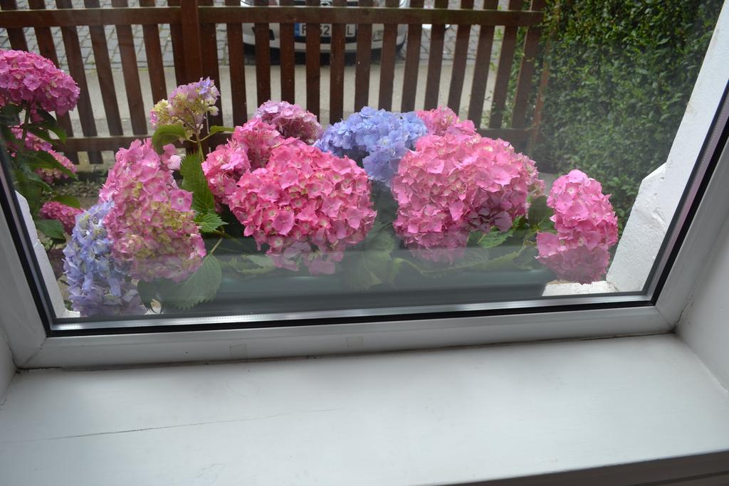 Pitt Street Apartment Beautiful Spacious Apartment Free Parking And Free Sanitizer Edinburgh Kültér fotó